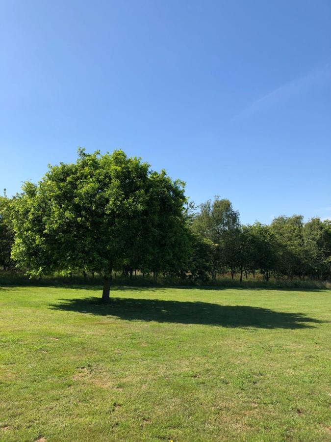 דירות צ'למספורד Meadows Barn מראה חיצוני תמונה